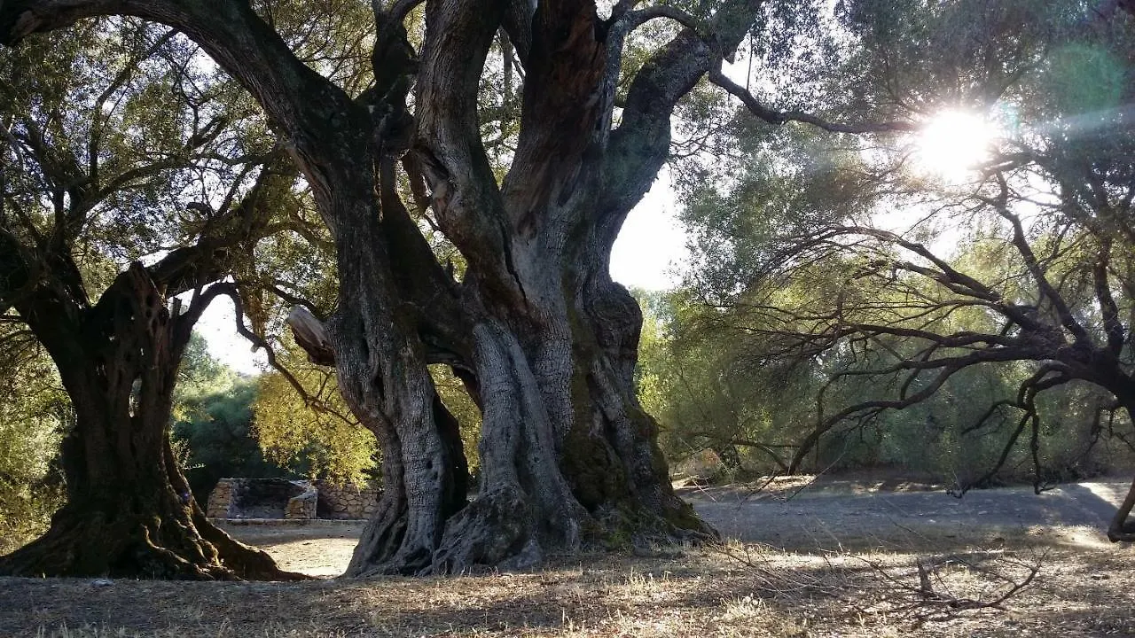 Il Giardino All'Angolo Villacidro 0*,