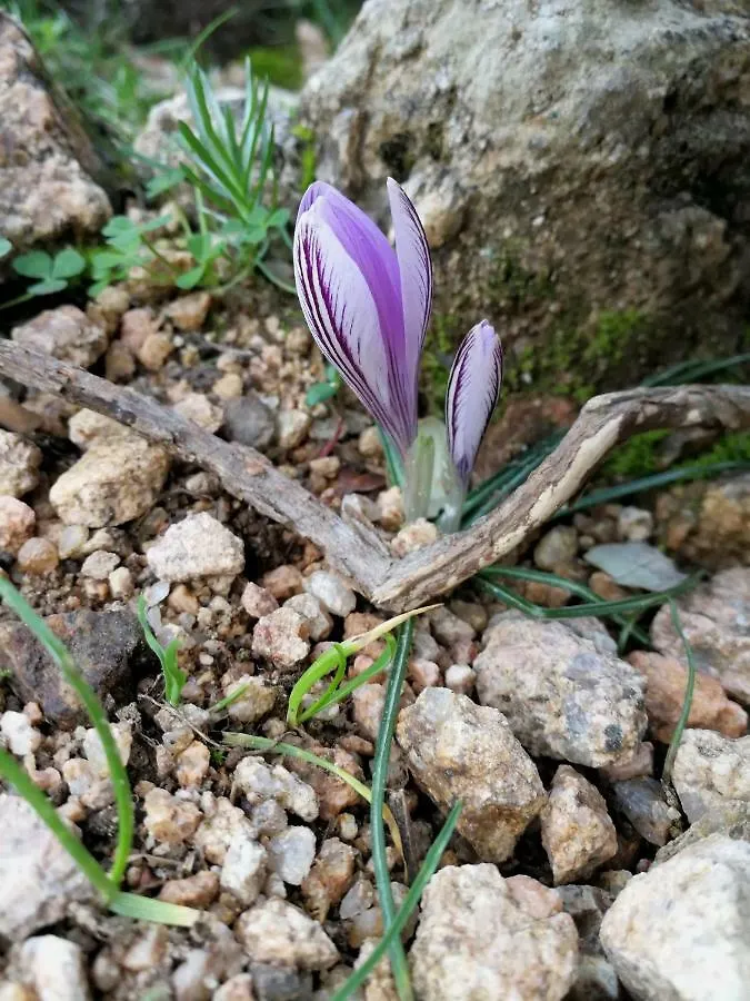 Il Giardino All'Angolo Villacidro 0*,